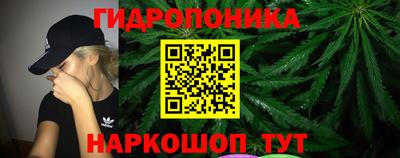 Альфа ПВП Новодвинск