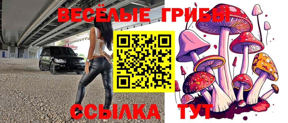Псилоцибиновые грибы мухоморы Алейск